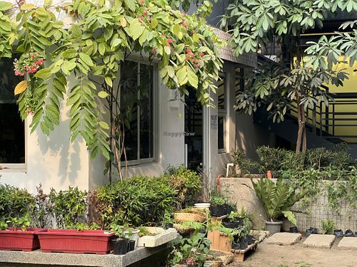 Ani Cafe exterior nestled among lush garden plants at Comuna, Makati